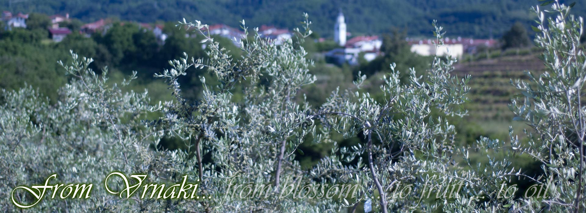 banner1_en.jpg
