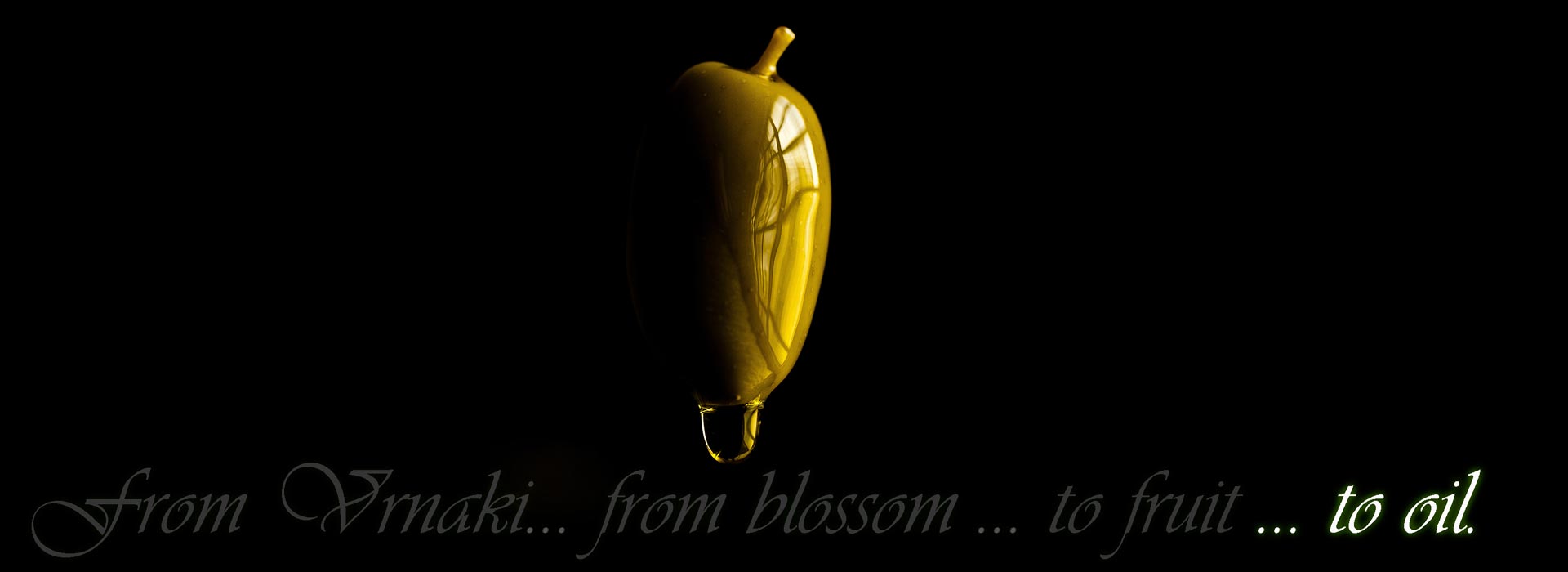 banner4_en.jpg