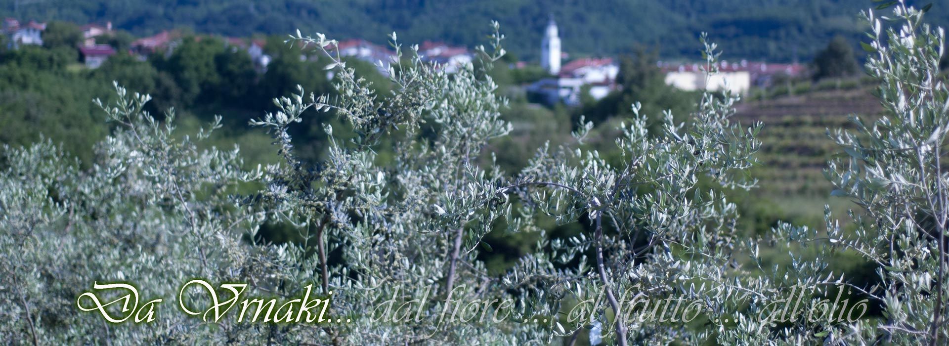 banner1_it.jpg