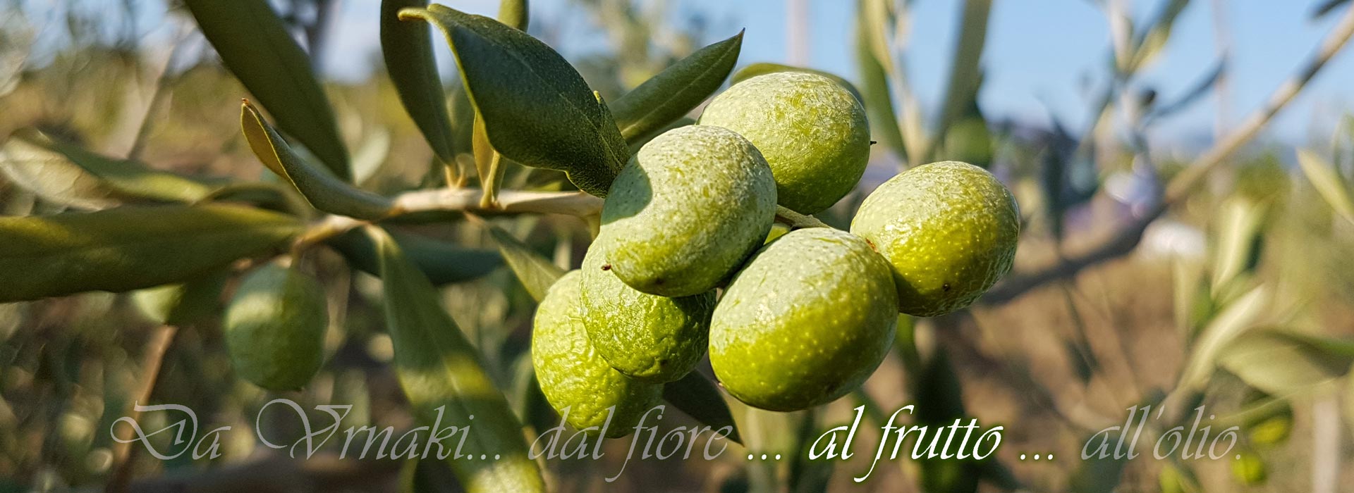 banner3_it.jpg