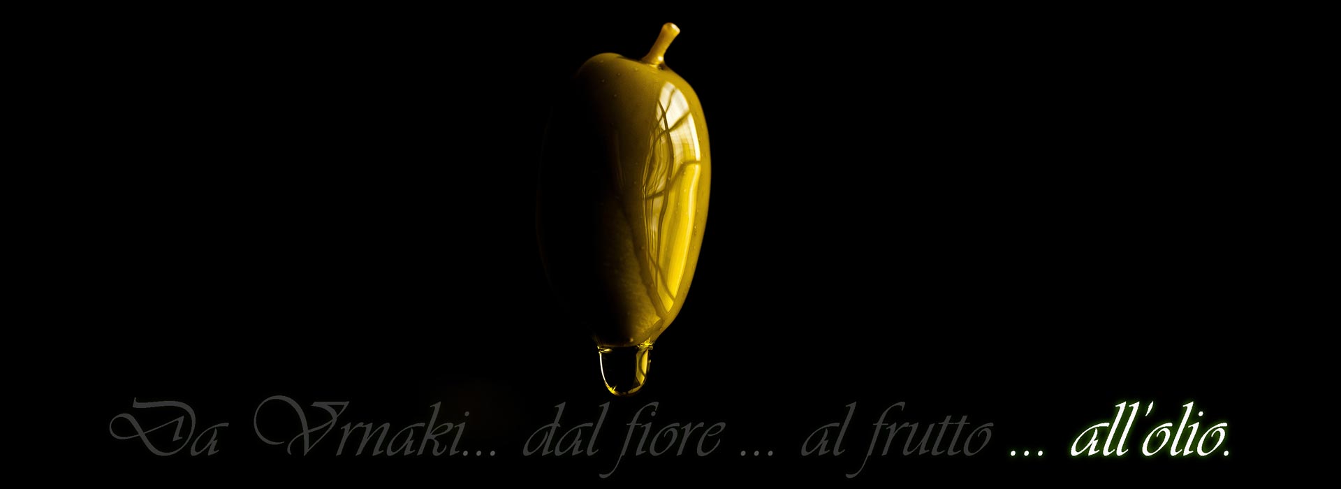 banner4_it.jpg